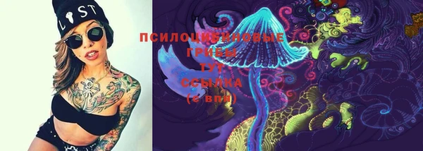 мет Каменка