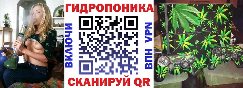 МАРИХУАНА SATIVA & INDICA  hydra зеркало  Куровское 